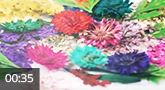 Jolifin XL Nail Art Displays - Fleurs séchées