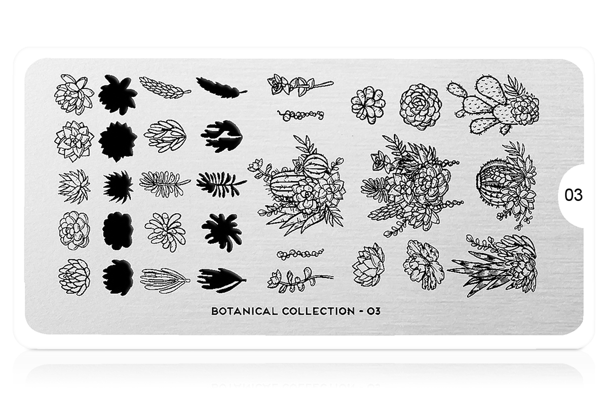 MoYou-London Schablone Botanical Collection 03