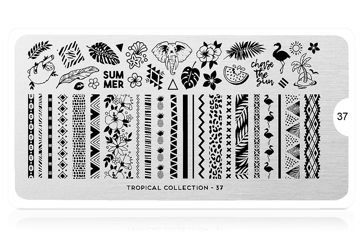 MoYou-London Schablone Tropical Collection 37