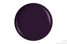 Vernis à ongles Jolifin LAVENI - baie violette 9ml