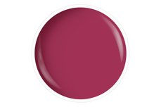 Jolifin LAVENI Farbgel - delicious raspberry 5ml