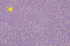 Jolifin LAVENI Diamond Dust - Solar purple