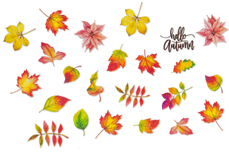 Jolifin LAVENI XL Sticker - Autumn Nr. 2