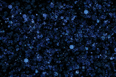 Jolifin LAVENI Sparkle Glitter - deep blue