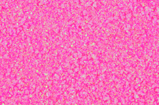 Jolifin LAVENI Diamond Dust - neon-candypink