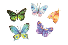 Jolifin LAVENI XL Sticker - Butterfly Nr. 2