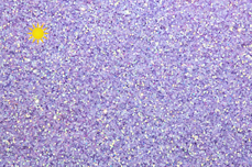 Jolifin LAVENI Solar Glitterpuder - lavender