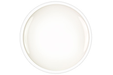 First Edition Studioline - French-Gel soft-white 5ml 