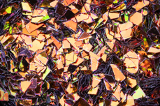 Jolifin LAVENI Foil Flakes - chameleon copper