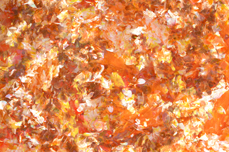 Jolifin Soft Opal Flakes - apricot pearl