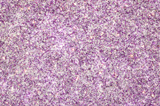 Jolifin LAVENI Diamond Dust - pastell-purple hologramm