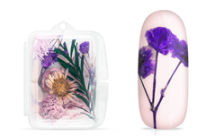 Jolifin Dried Flowers Mix - pastell-purple