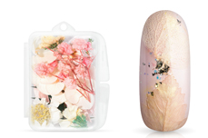 Jolifin Dried Flowers Mix - pastell-rose