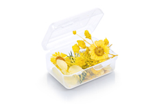 Jolifin Dried Flowers Mix - yellow