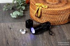 Jolifin LAVENI appareil de photopolymérisation LED - Jelly Refill