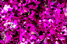 Jolifin Soft Foil Flakes - Aurora violet