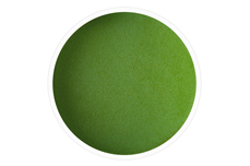 Jolifin Acryl Farbpulver - green 5g