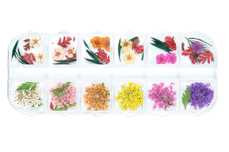Jolifin XL Nailart-Display - Dried Flowers Nr. 9