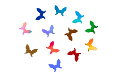 Jolifin Einleger Display XL - Butterflies