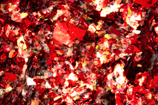 Jolifin Soft Foil Flakes - Aurora red
