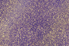 Jolifin crystal dust purple
